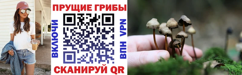 Галлюциногенные грибы Cubensis  Шарья 
